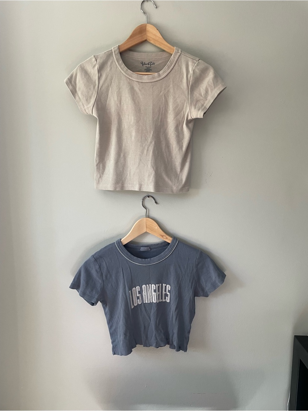 2 Brandy Melville / John Galt cropped t-shirts